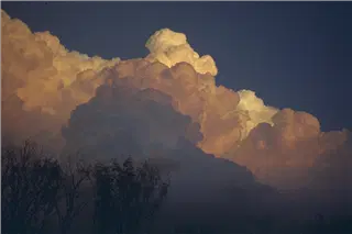 small_9511 2524 family, cew, viaIMG0033.webp